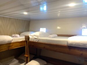 Dolphin Cabin 4 single bed